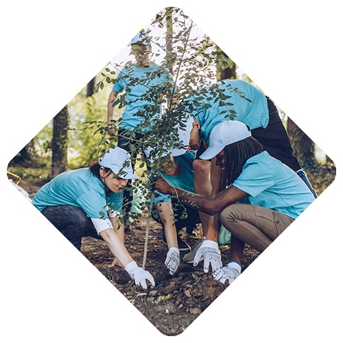 Community>Masthead Diamond - Main